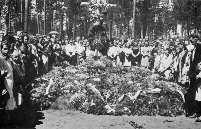 kliknij by wr�ci�