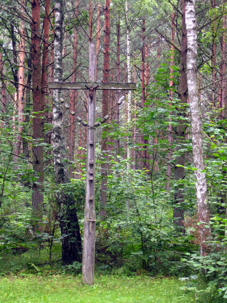 kliknij by wr�ci�